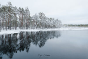 winter in estonia