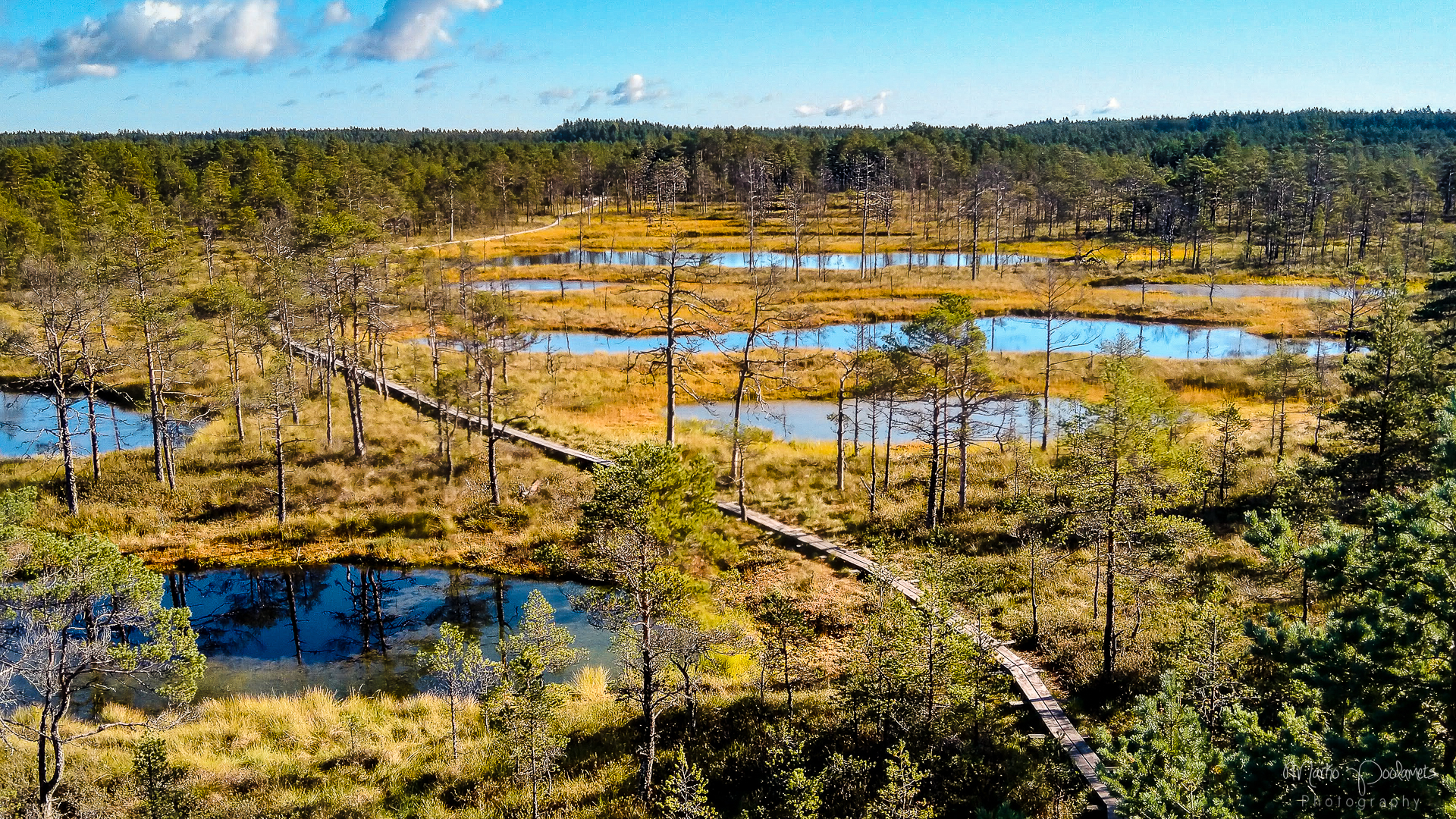TOP 10 Things To Do In Estonian Nature Capture Estonia Nature And 