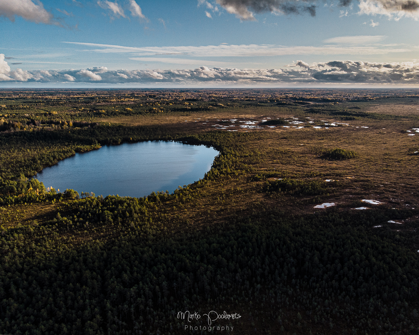 Raised bogs of Estonia - Capture Estonia Nature and Photography Tours