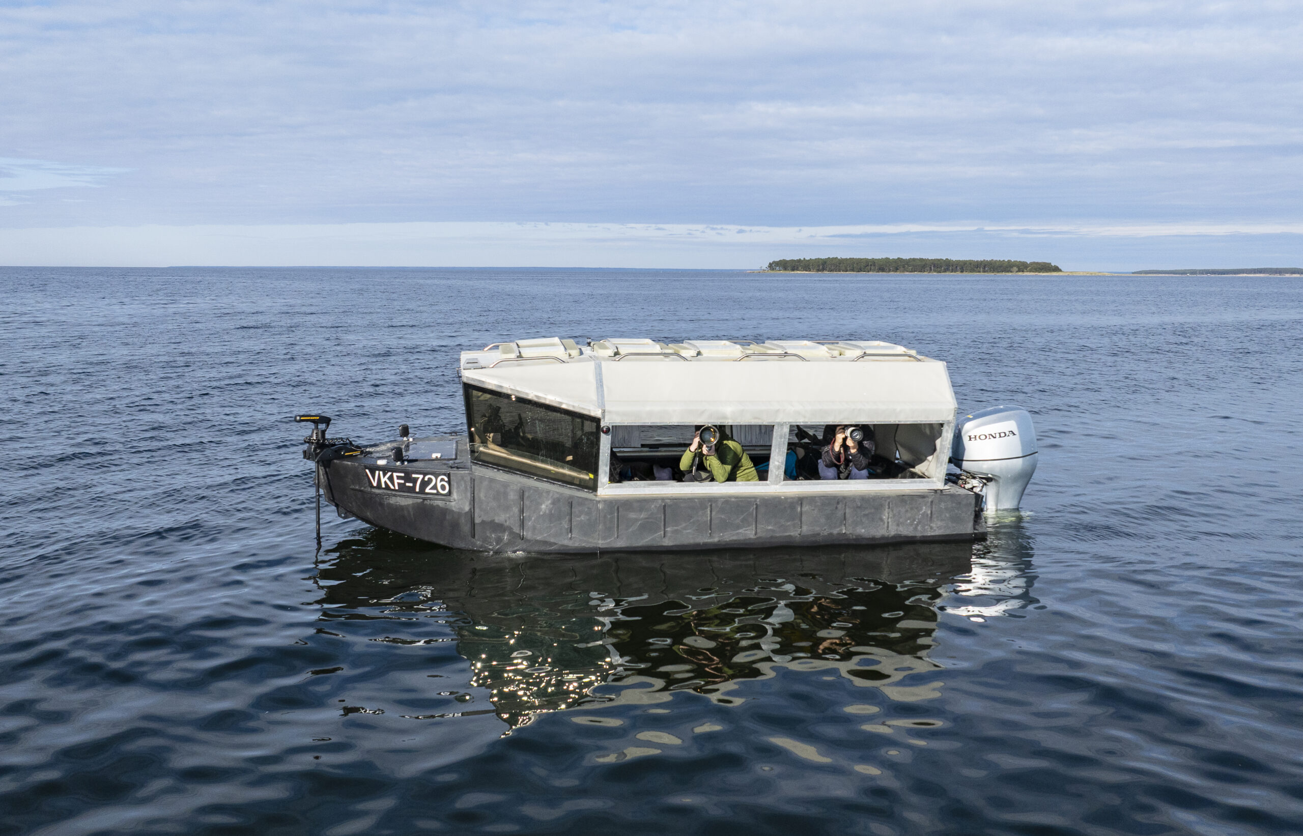 Seal & seabird watching and photography