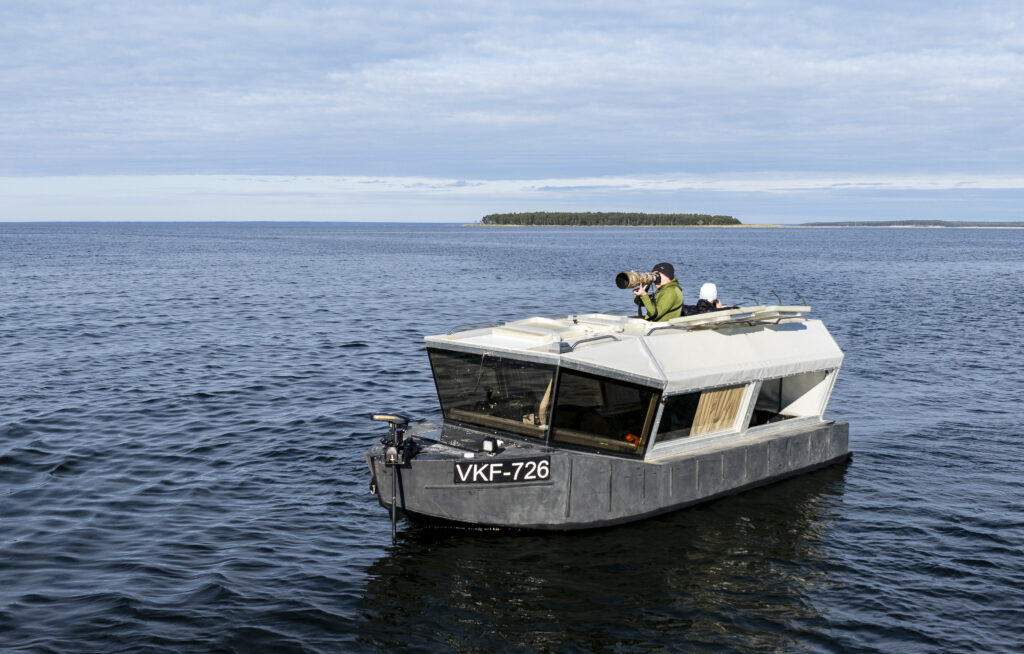 Seal safari boat